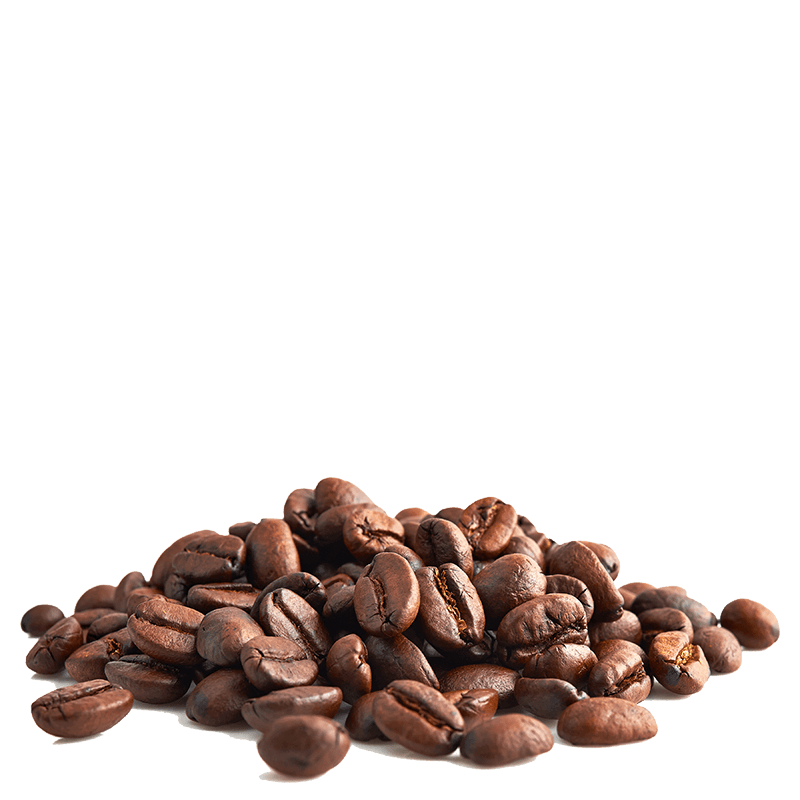 Les Cafés Dagobert --  Mélange café moka Guji 100% arabica, bio et équitable - grains Vrac (origine Ethiopie) - 5 kg